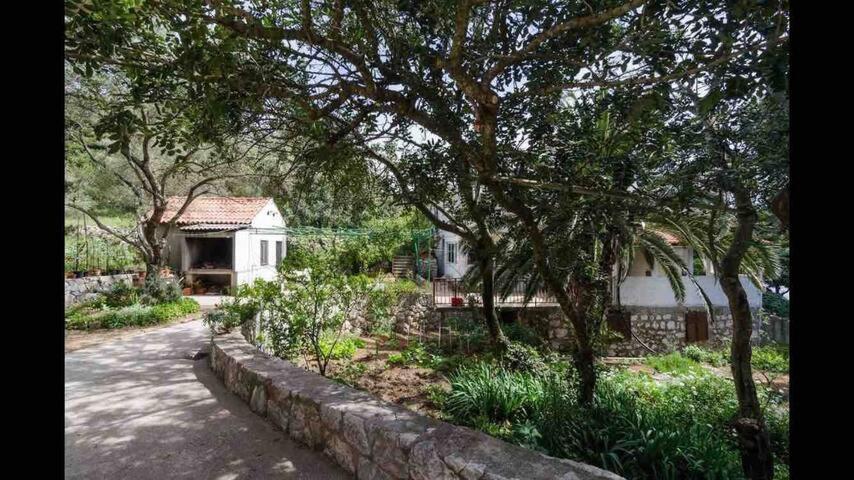 Villa Franic Saplunara Exteriér fotografie